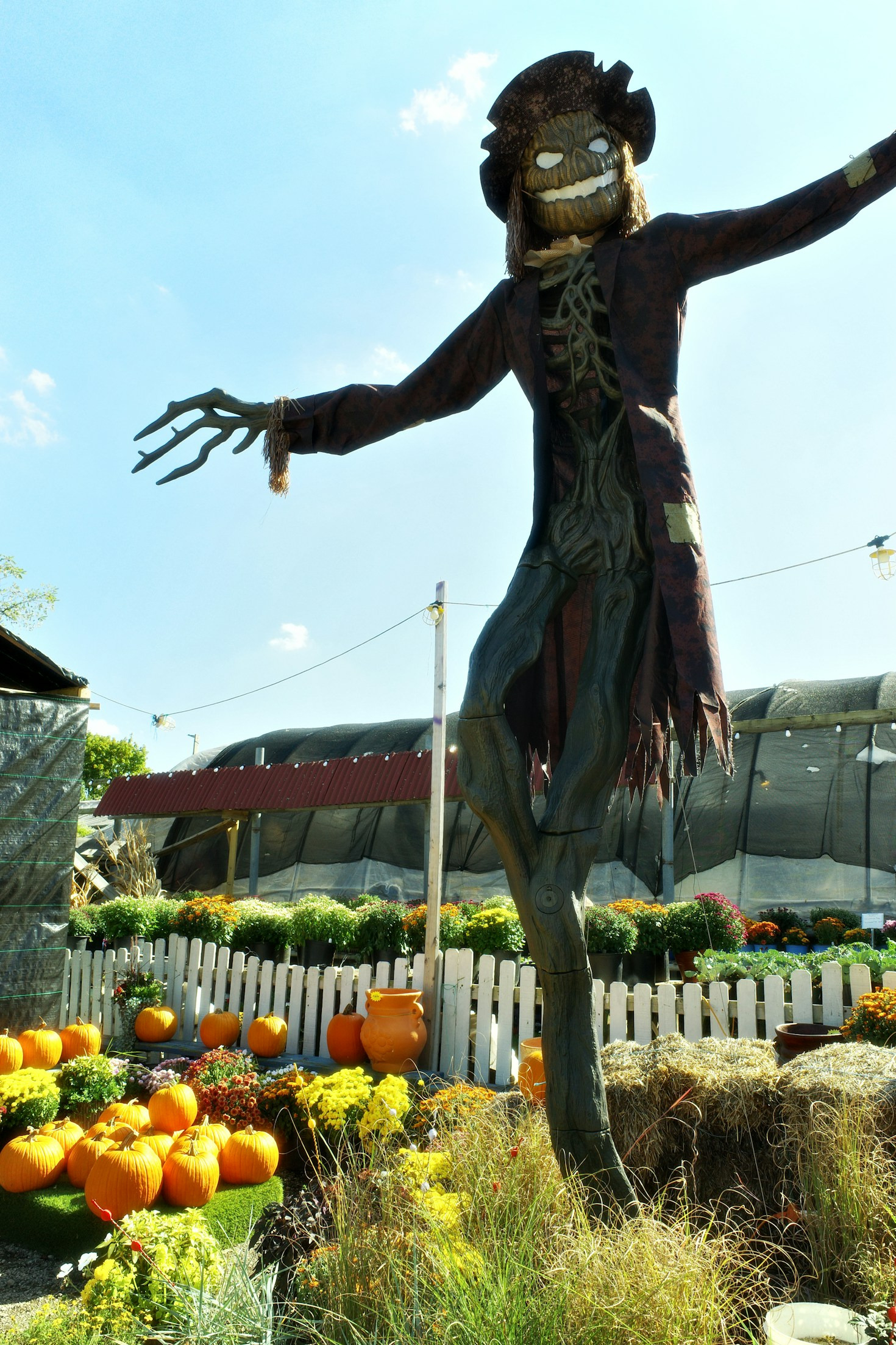 Creative Expression in a World Full of Zombies